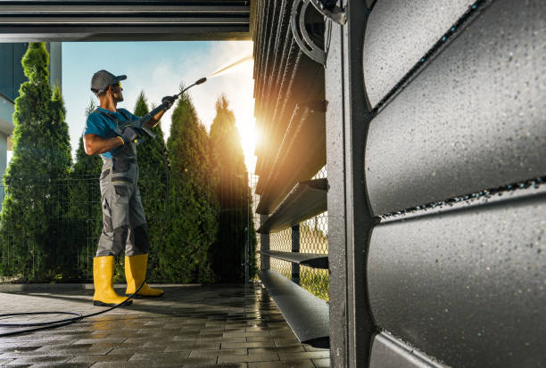 Best Sidewalk and Walkway Cleaning  in Spring Valley, CA